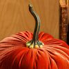 Pumpkin Extra Large Velvet,  Fall Accent Decor