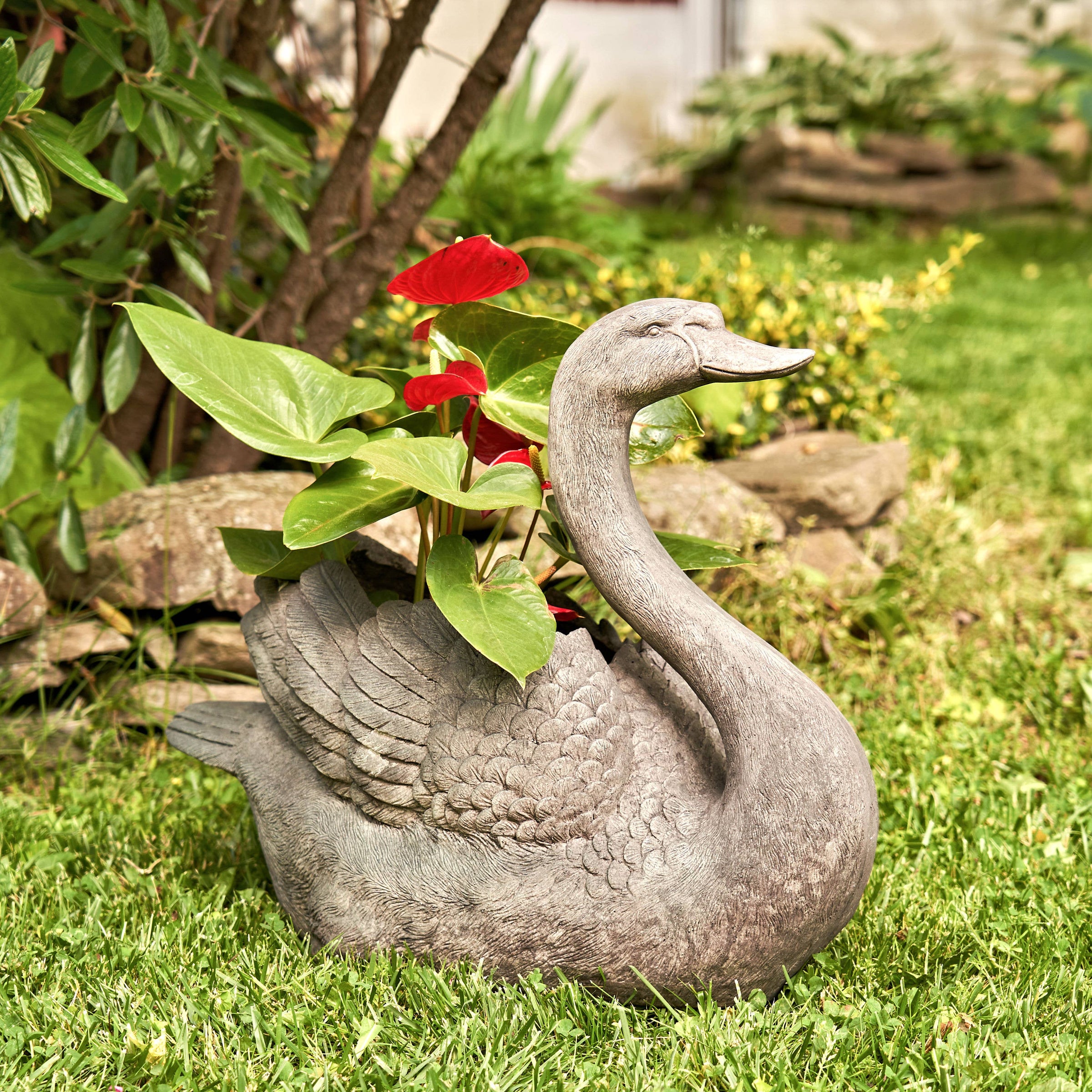 Magnesium Swan Planters "Derek & Odette"- 2 Assorted