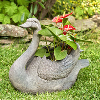 Magnesium Swan Planters "Derek & Odette"- 2 Assorted