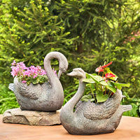 Magnesium Swan Planters "Derek & Odette"- 2 Assorted
