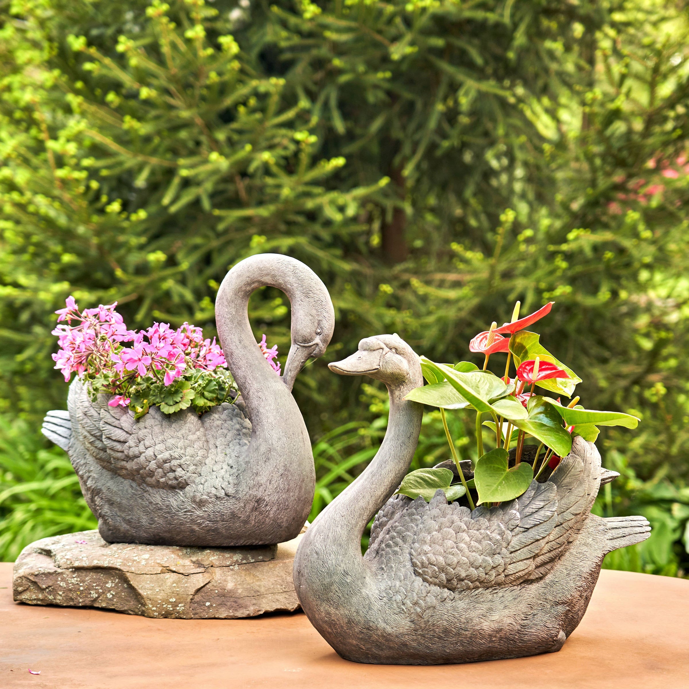 Magnesium Swan Planters "Derek & Odette"- 2 Assorted