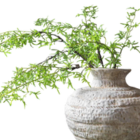 Decorative plant in a textured vase on a white background