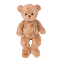 Brown teddy bear on a white background