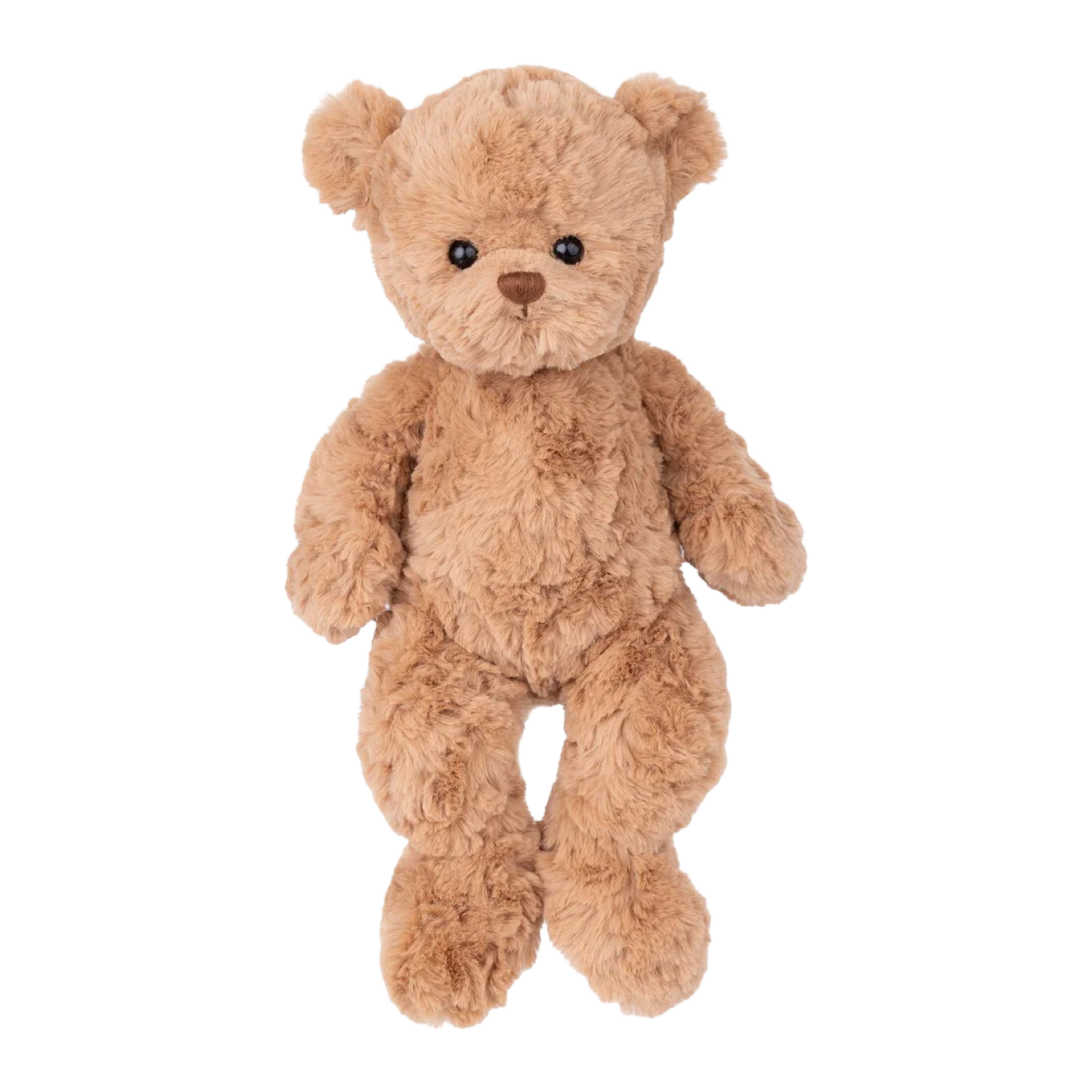 Brown teddy bear on a white background