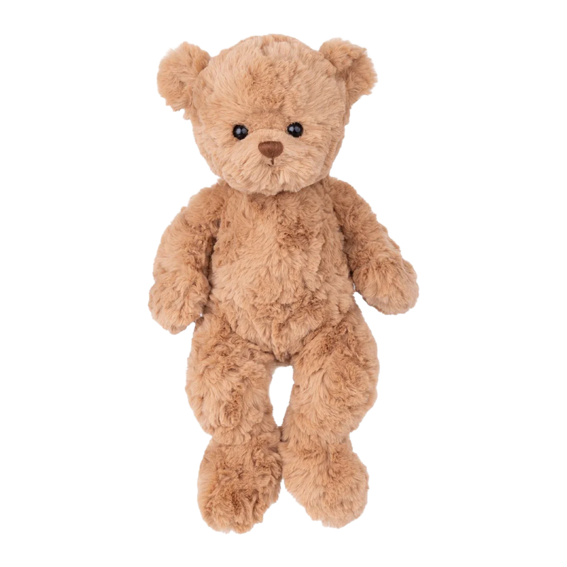 Brown teddy bear on a white background