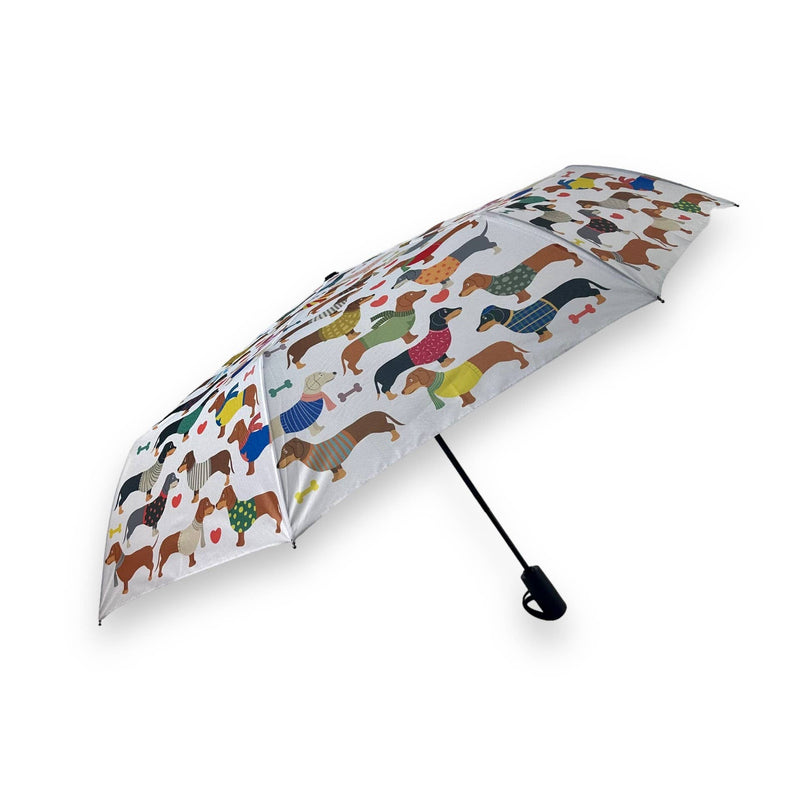 Daushund doggie umbrella spring