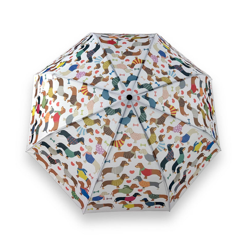 Daushund doggie umbrella spring