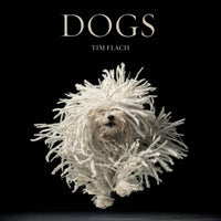 Book cover of 'DOGS' by Tim Flach featuring a dog with a textured coat on a black background.