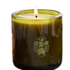 Flamingo Estate rose candle, jasmine rose scented candle, night blooming jasmine fragrance, euphoria candle scent, botanical luxury candle, sandalwood and rose candle, Flamingo Estate floral candle, joyful scented candle, mood-lifting home fragrance, pink peppercorn candle