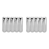 Pair of silver earrings on a white background
