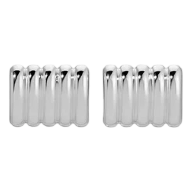 Pair of silver earrings on a white background