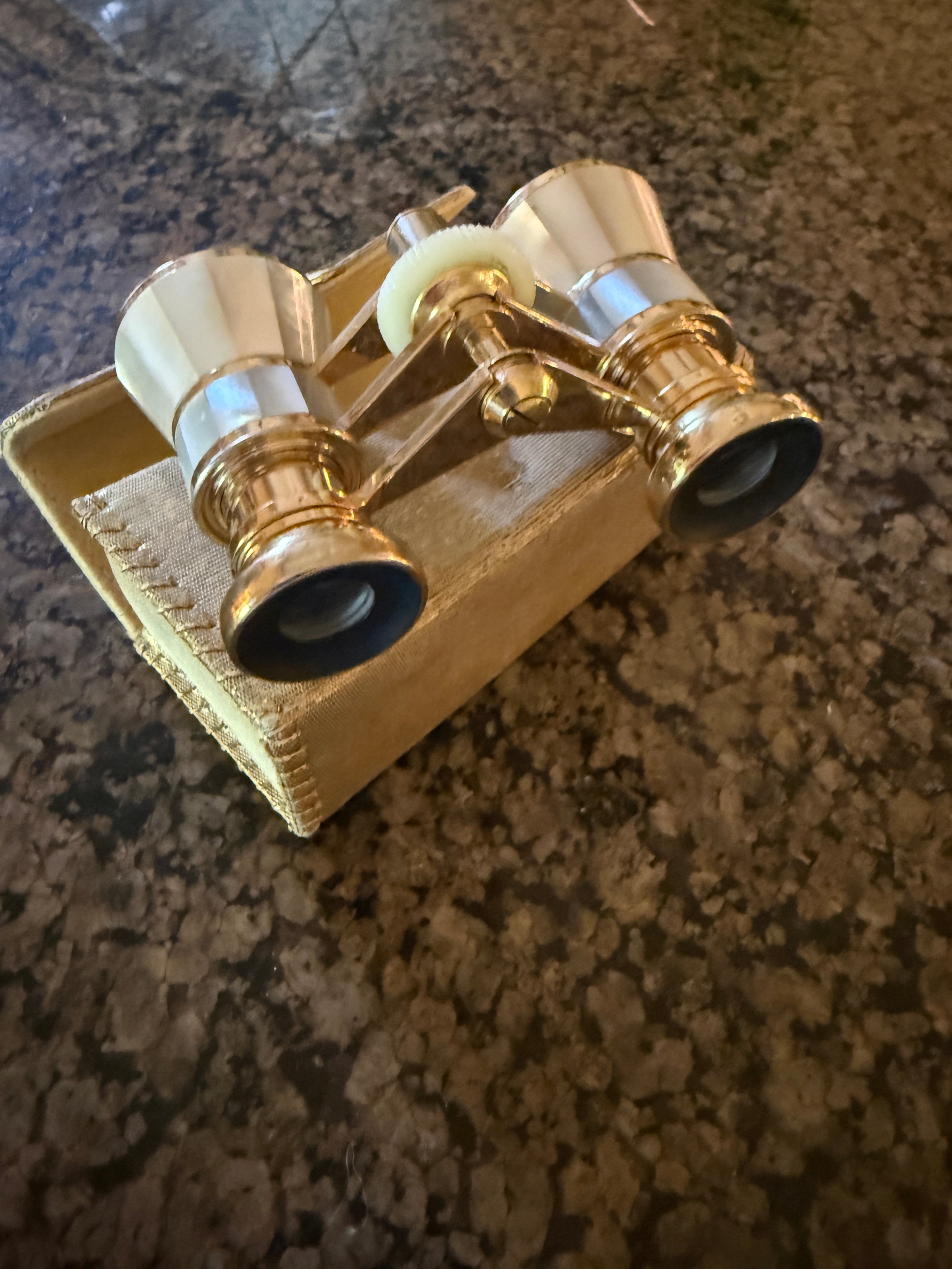Vintage Mother of Pearl Opera Glasses | One-of-a-Kind