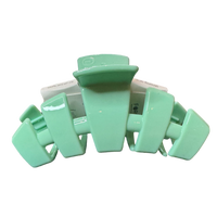 Classic Mint to Be Large Hair Clip