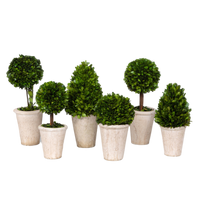 Boxwood Tabletop Topiaries