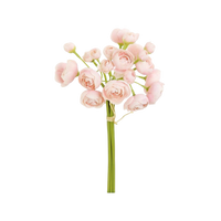 Ranunculus Bud Bundle x6, 10", Pink