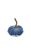 Small Velvet Pumpkin