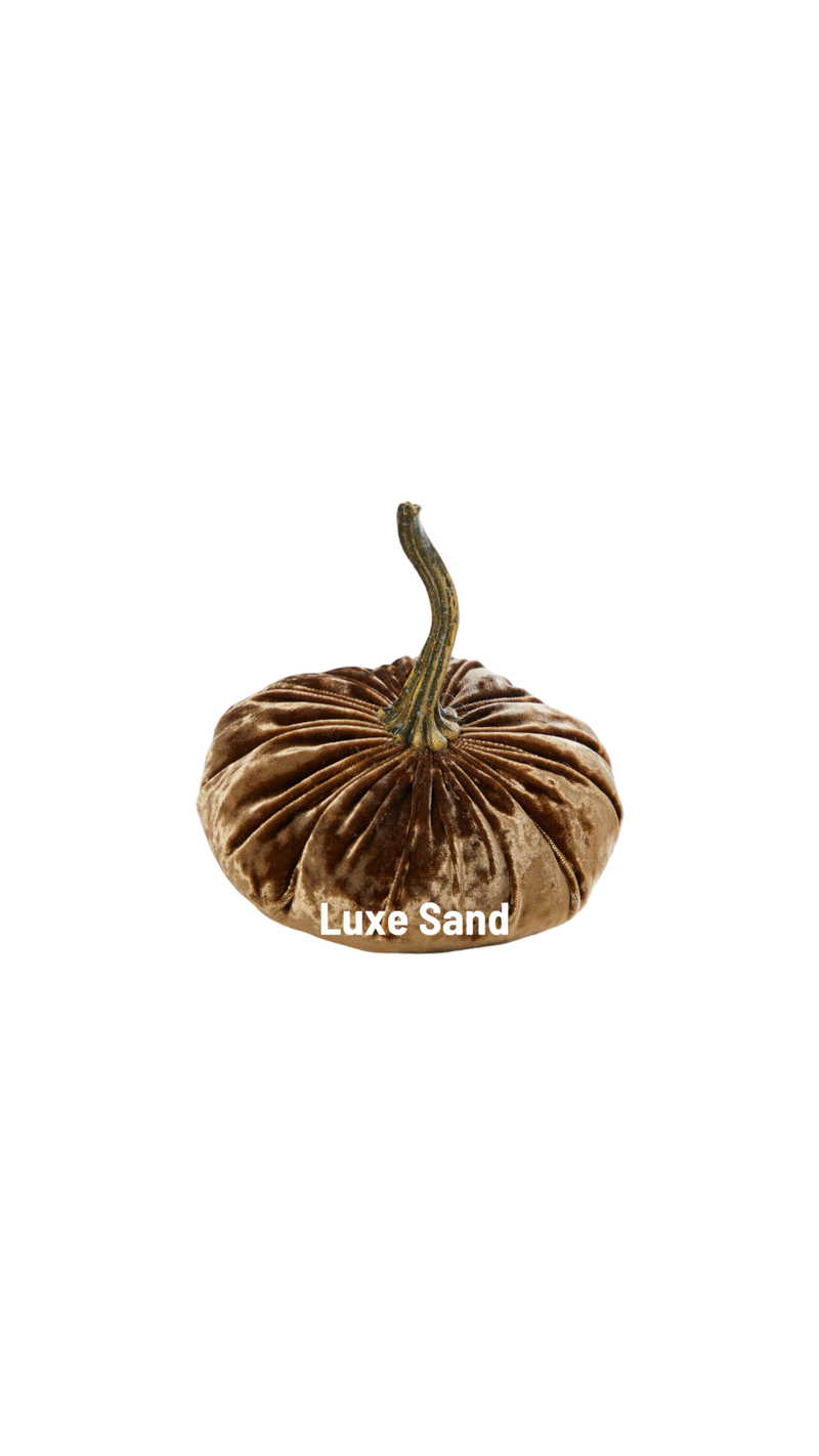 Small Velvet Pumpkin