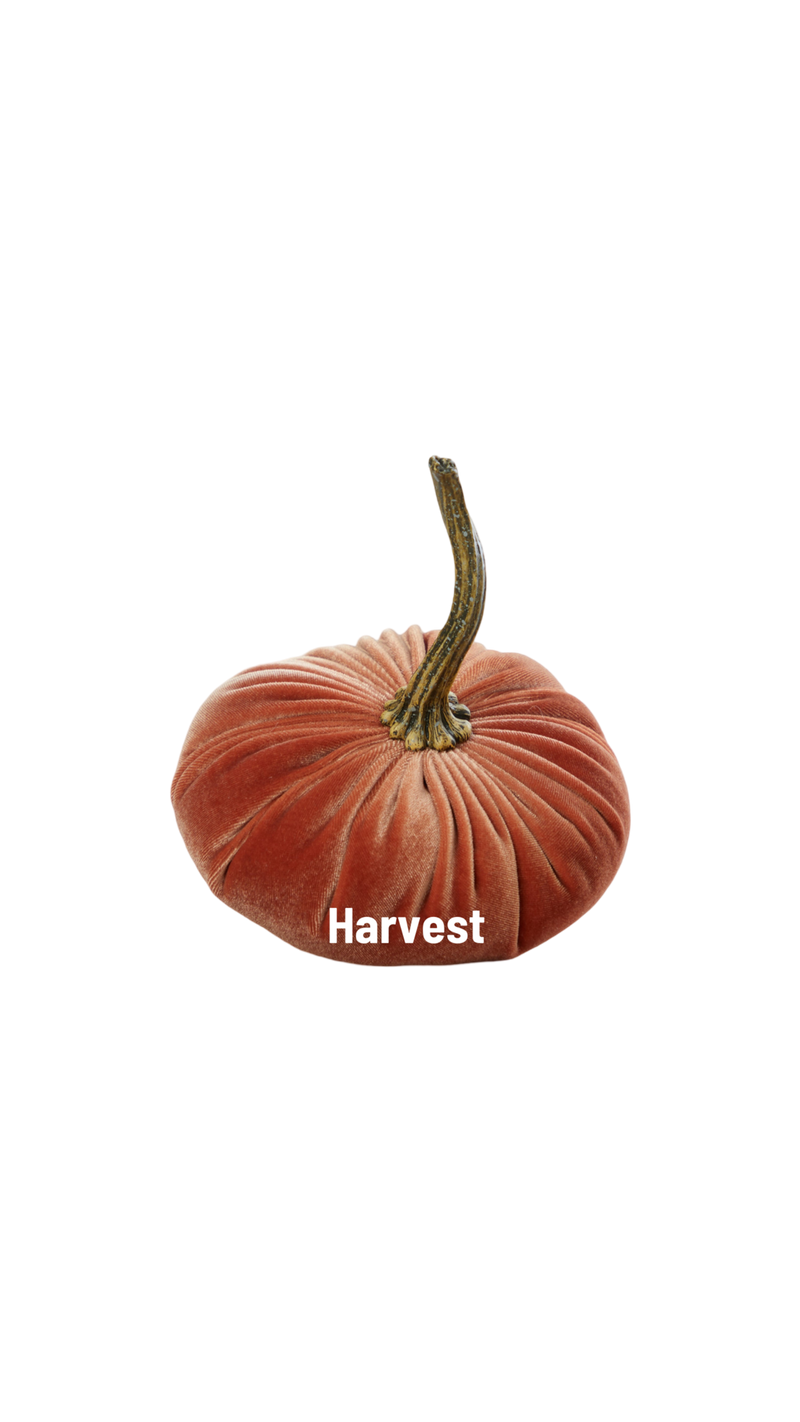 Small Velvet Pumpkin