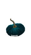 Small Velvet Pumpkin