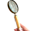 Magnifying Glass
Bone Style Handle Magnifier
Decorative Magnifying Glass
Luxury Magnifier
Home Office Accessories
Elegant Magnifying Glass
Unique Reading Accessories
Sophisticated Décor Piece