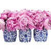 Pink flowers in blue and white patterned vases on a white background