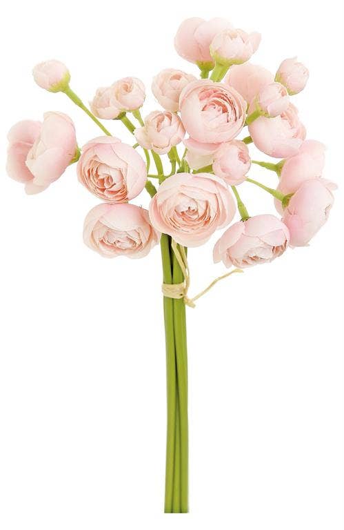 Ranunculus Bud Bundle x6, 10", Pink