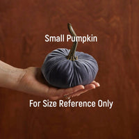 Small Velvet Pumpkin