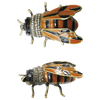 Two bee-shaped pins with rhinestone details on a white background
