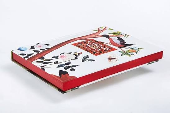 beige is not a color book, carlos mota design book, interior design coffee table book, colorful interiors book, luxury design inspiration, bold decorating book, stylish décor books, modern coffee table books