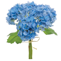 Bouquet of blue hydrangeas with green leaves on a white background