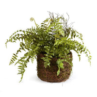 Faux Real Touch Boston Fern