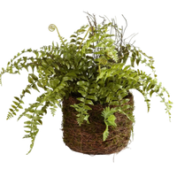 Faux Real Touch Boston Fern