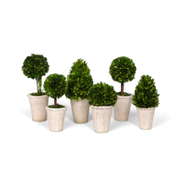 boxwood topiary, preserved boxwood topiary, tabletop greenery, boxwood tabletop décor, aged terra cotta pots, home topiary décor, seasonal home accents, indoor greenery, boxwood home décor, artificial boxwood plant