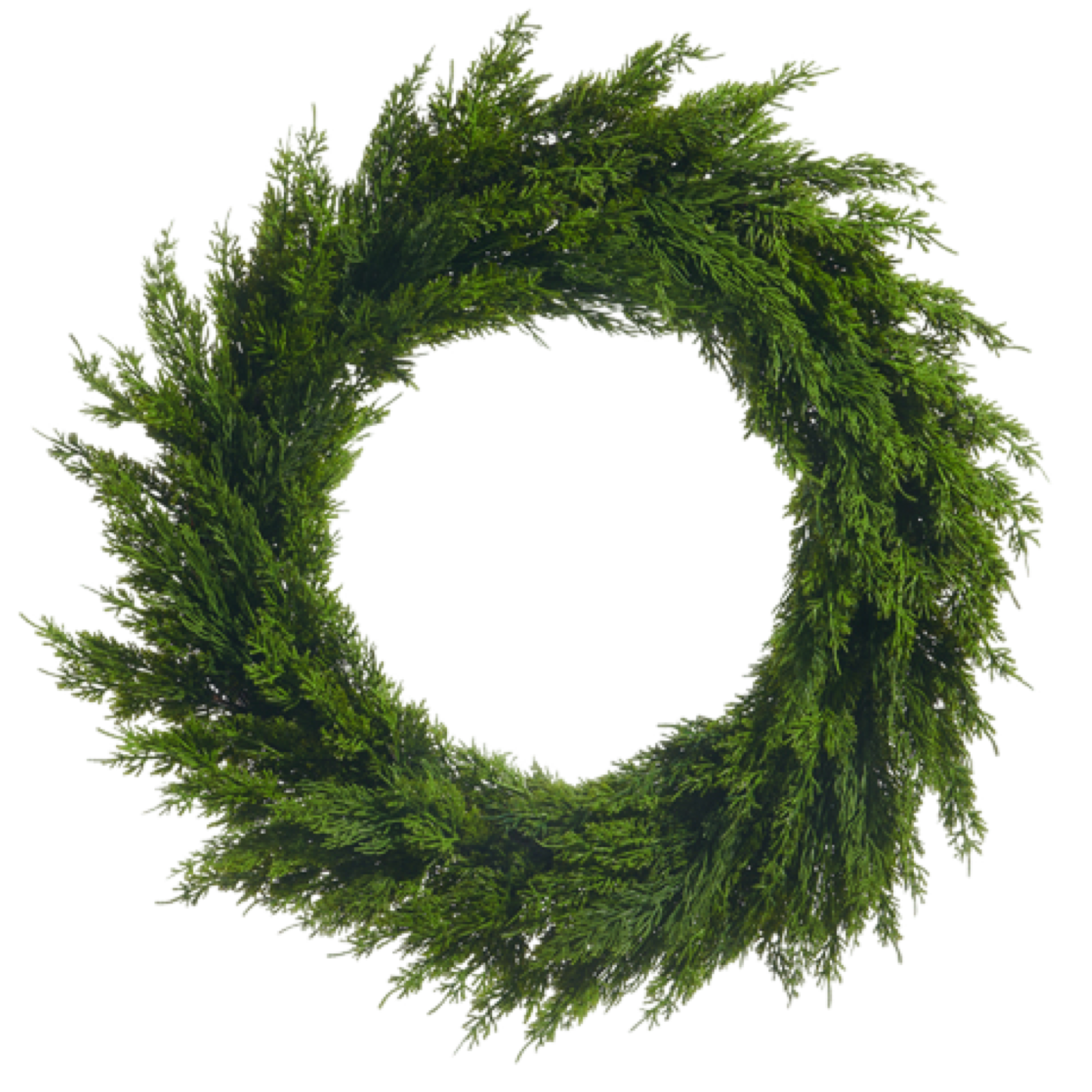 Green wreath on a white background
