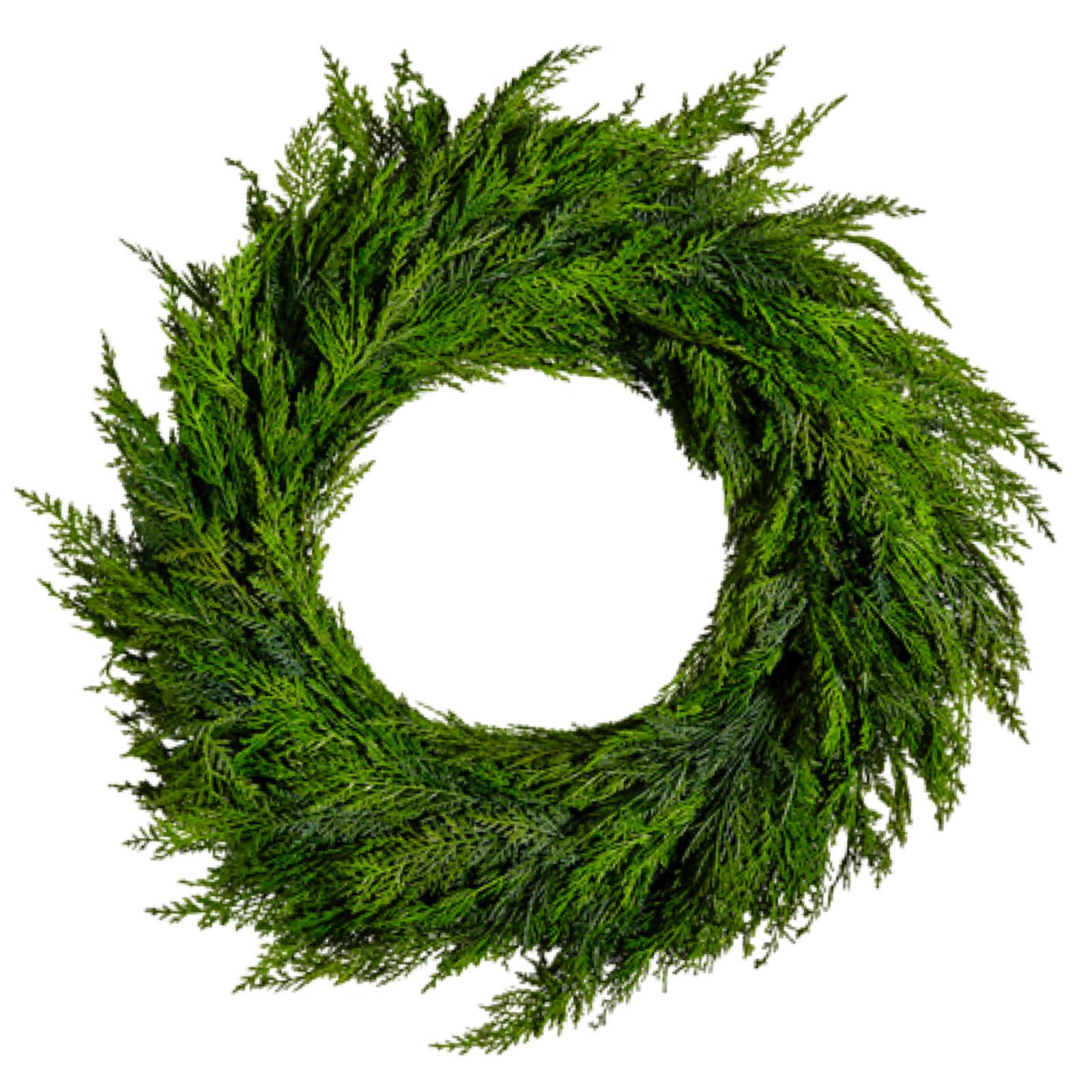 Green wreath on a white background