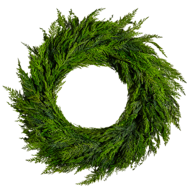 Green wreath on a white background
