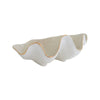coastal decor, clam shell bowl, decorative bowl, jewelry display, 22K gold accent, handcrafted in Oklahoma, summer decor, artistic home accents, nautical elegance.