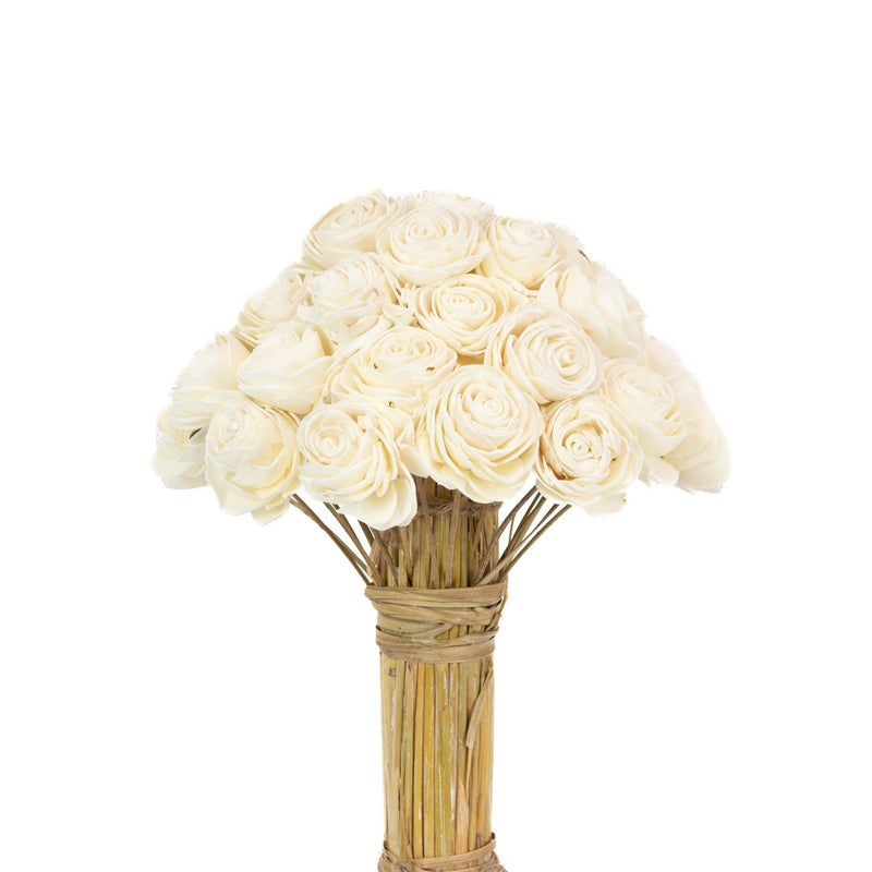 Shola Beauty Rose 12" White Bouquet