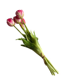 Bouquet of pink tulips on a white background