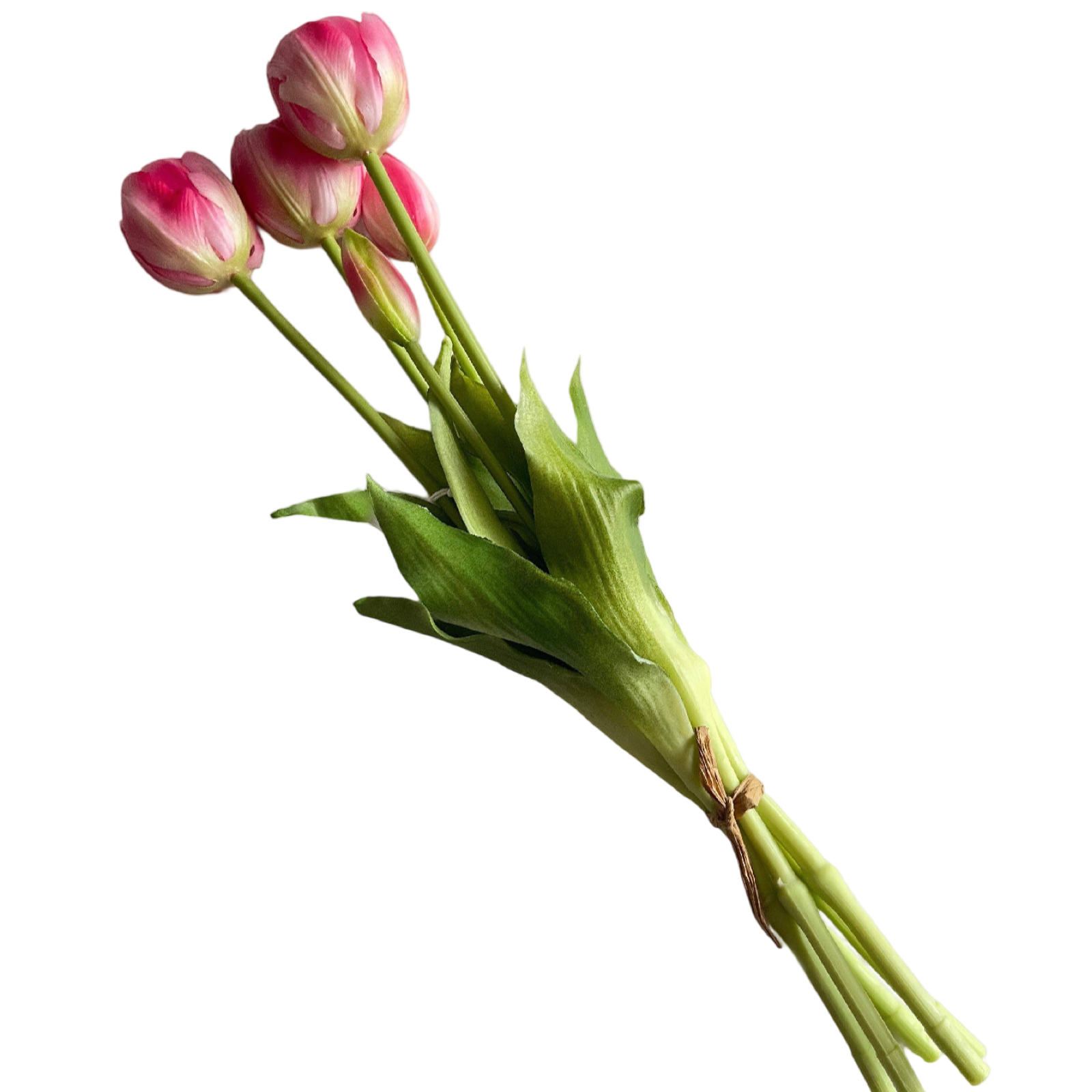 Bouquet of pink tulips on a white background
