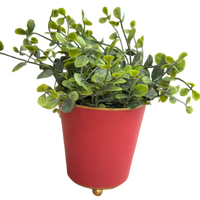 magenta cachepot planter, 4 inch metal planter, round decorative plant pot, small pink planter, colorful cachepot container, desk organizer cachepot, bright floral cachepot, vibrant home decor accent, mini metal cachepot, stylish kitchen utensil holder