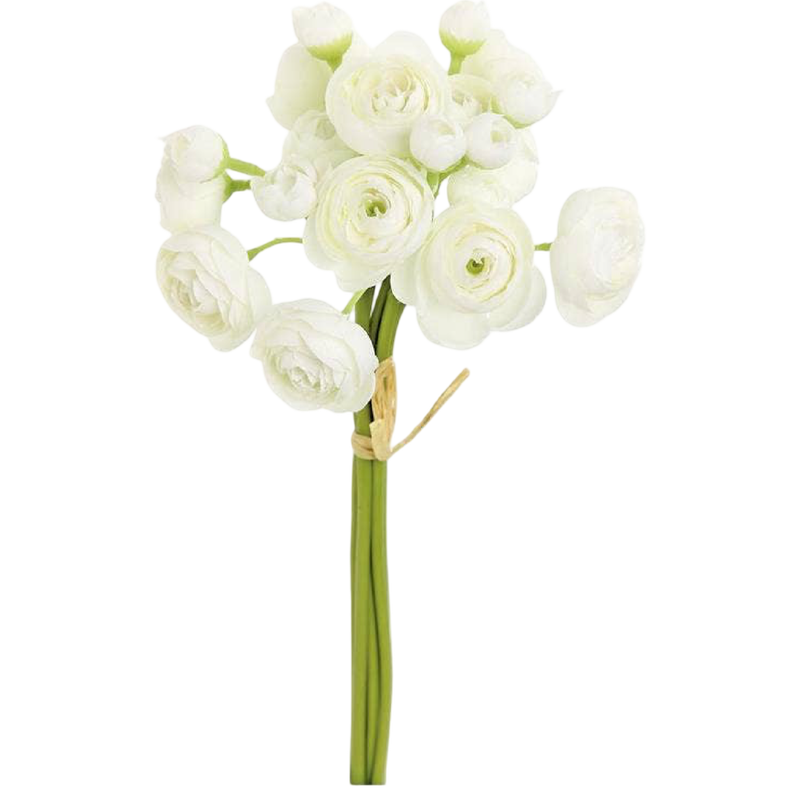 Bouquet of white flowers with green stems on a white background