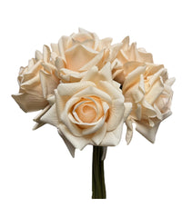 Bouquet of cream-colored roses on a white background