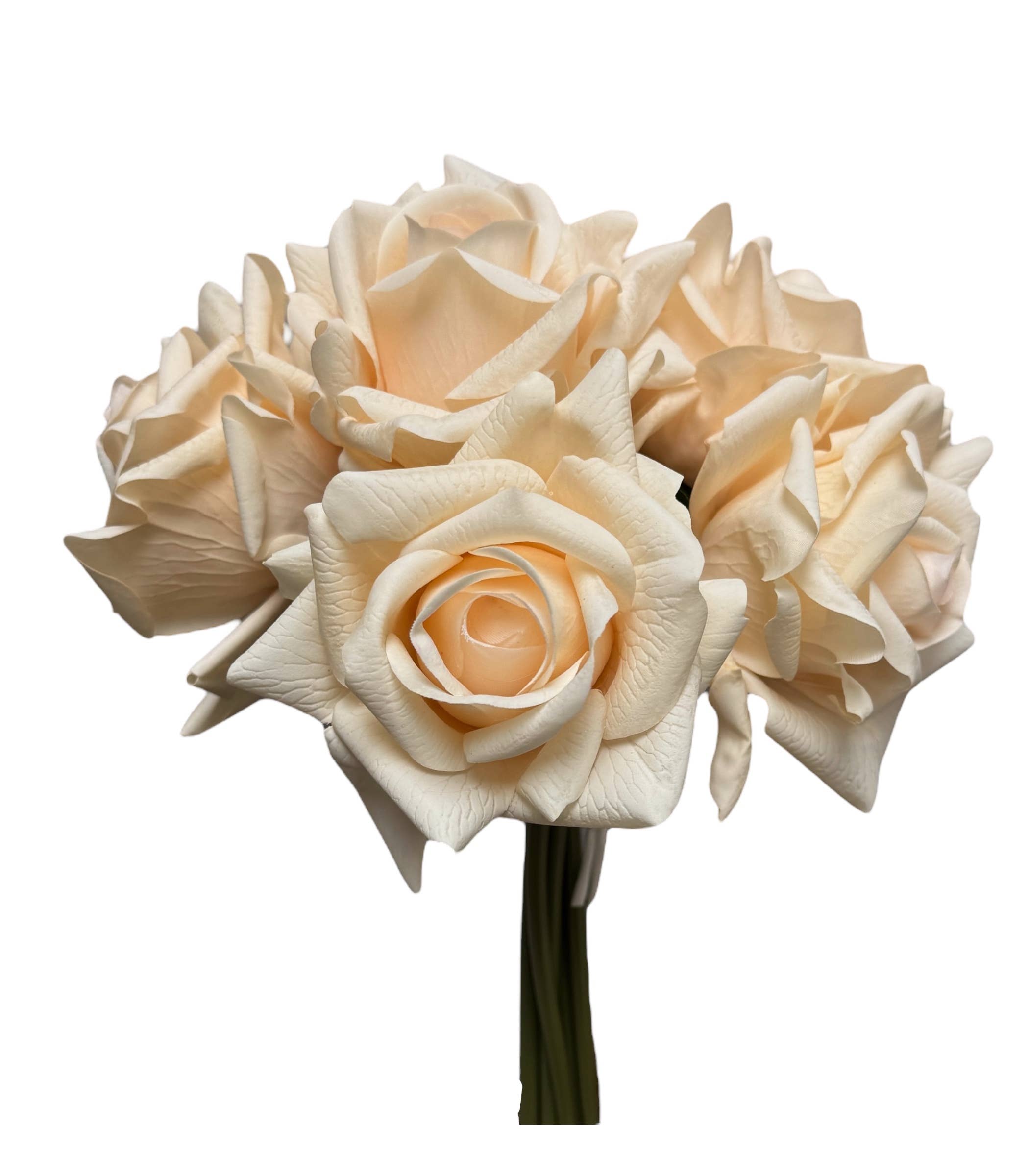 Bouquet of cream-colored roses on a white background