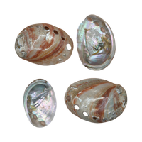 Polished Red Abalone Shell | 3 to 5 Inches