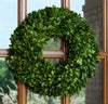 preserved boxwood 16" door wreath