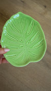 Palm Dish Plates for Parties or Display