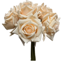 Bouquet of white roses on a white background