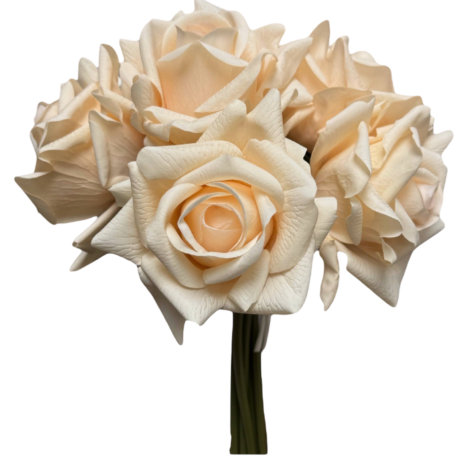 Bouquet of white roses on a white background