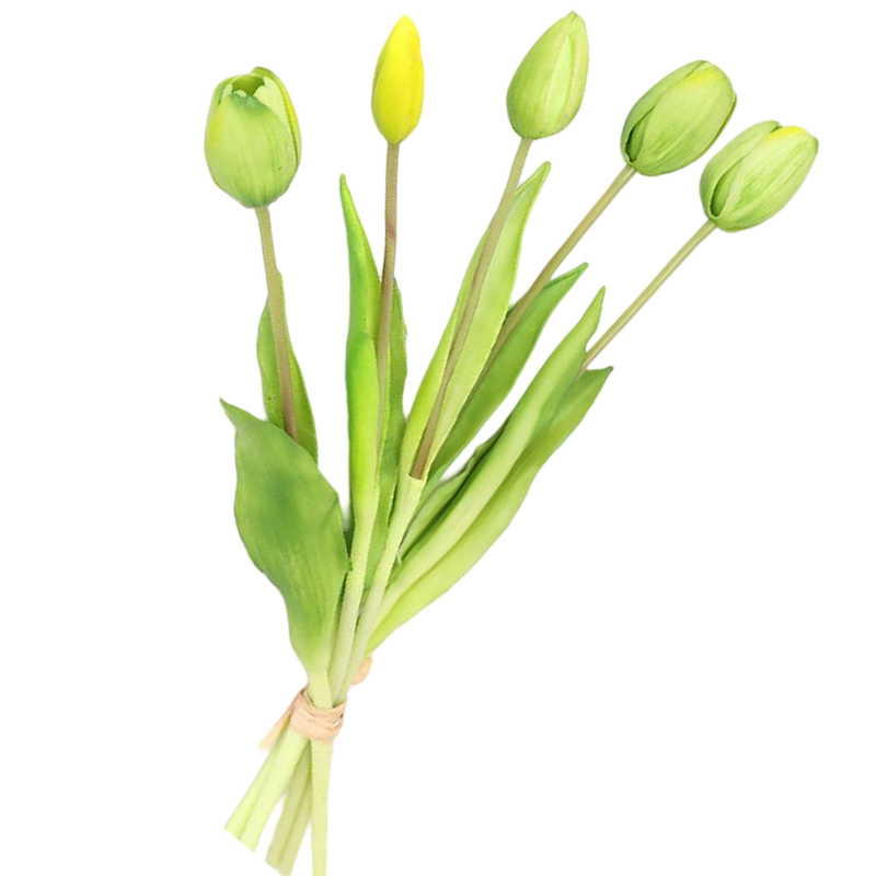 Bouquet of green tulips on a white background